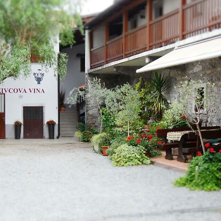 Apartmaji Pri Zivcovih Dutovlje Luaran gambar