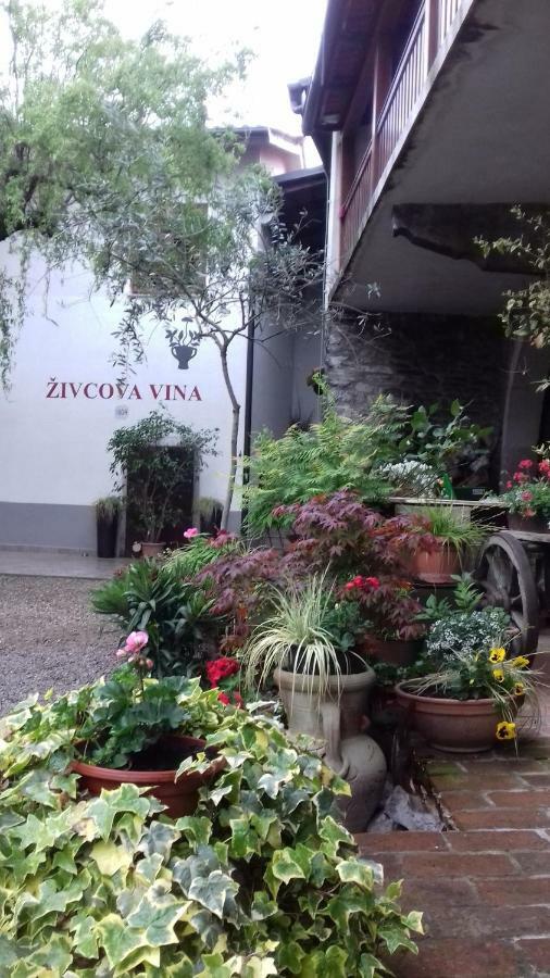 Apartmaji Pri Zivcovih Dutovlje Luaran gambar