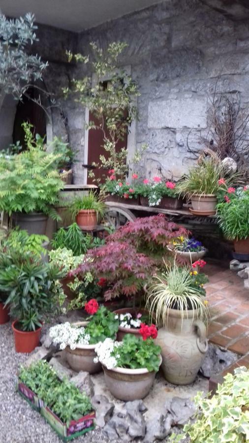Apartmaji Pri Zivcovih Dutovlje Luaran gambar