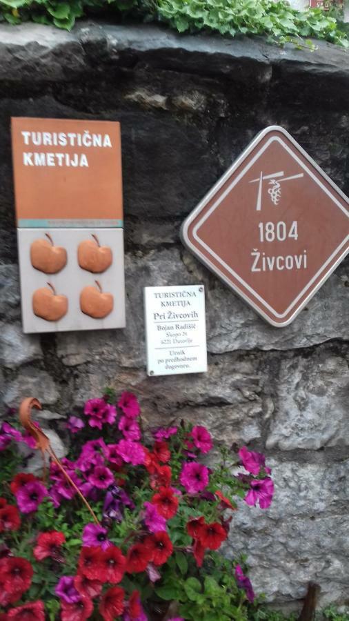 Apartmaji Pri Zivcovih Dutovlje Luaran gambar