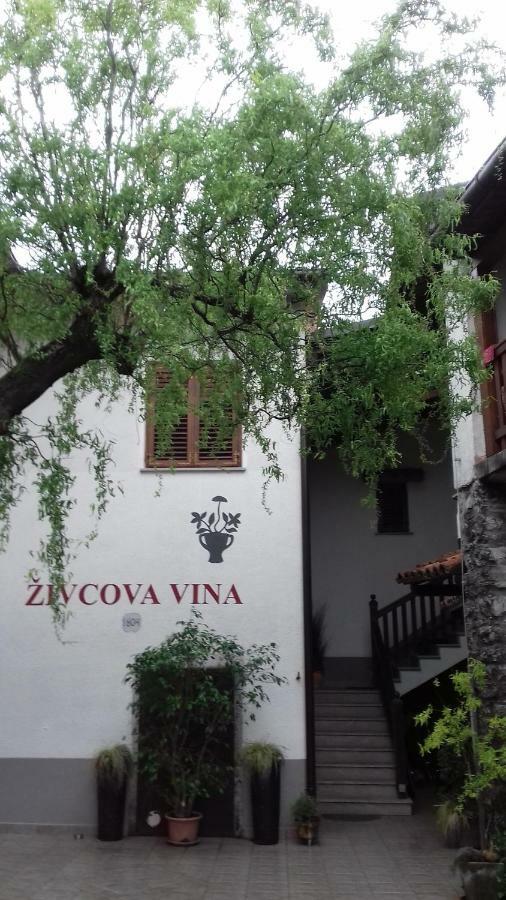 Apartmaji Pri Zivcovih Dutovlje Luaran gambar